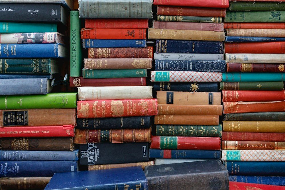 Lot de romans et livres de poche